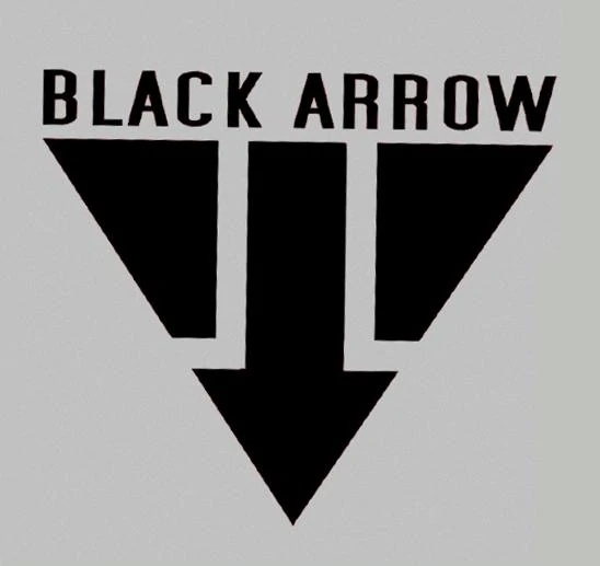 Black Arrow - AI Character on RolePlai