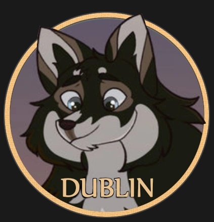 Dublin - AI Character on RolePlai