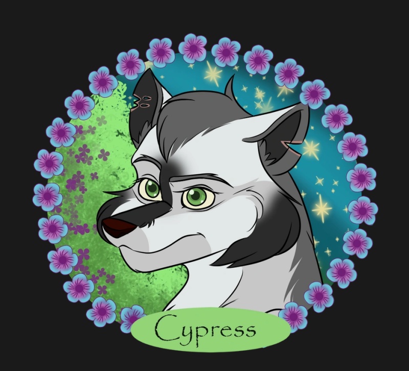Cypress - AI Character on RolePlai