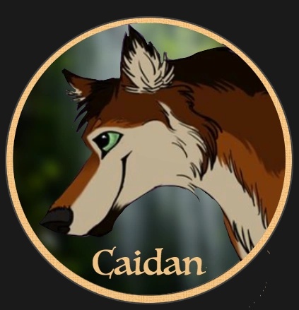 Caidan - AI Character on RolePlai