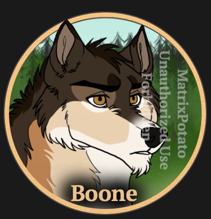 Boone - AI Character on RolePlai