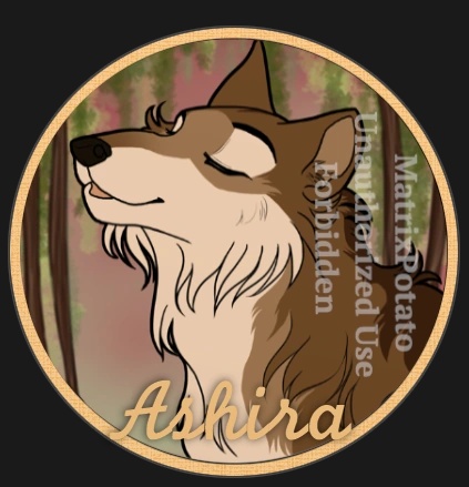 Ashira - AI Character on RolePlai