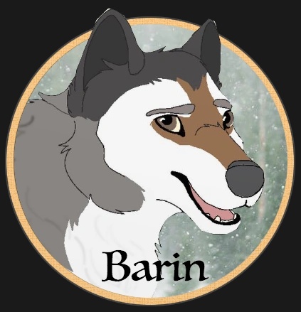 Barin - AI Character on RolePlai