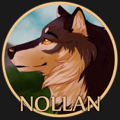 Nollan - AI Character on RolePlai