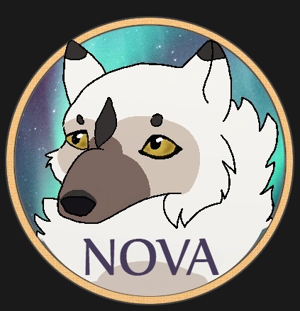 Nova - AI Character on RolePlai