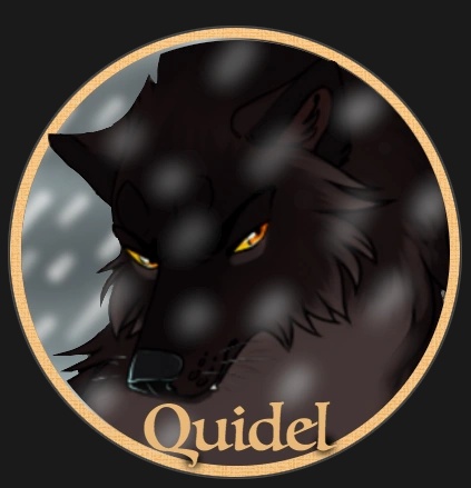 Quidel - AI Character on RolePlai