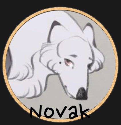 Novak - AI Character on RolePlai