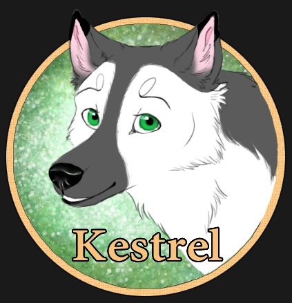 Kestrel - AI Character on RolePlai