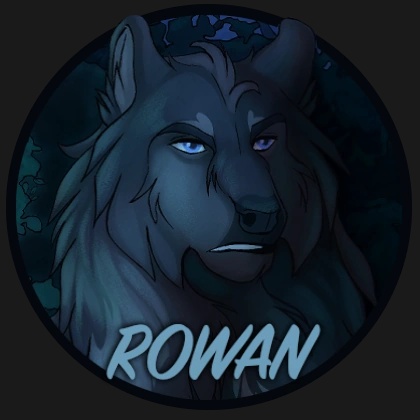 Rowan - AI Character on RolePlai