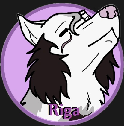 Riga - AI Character on RolePlai