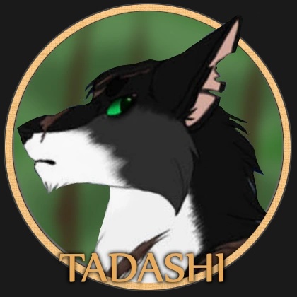 Tadashi - AI Character on RolePlai