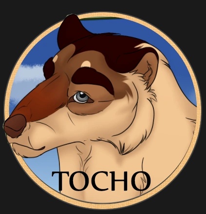 Tocho - AI Character on RolePlai