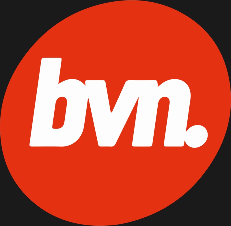 BVN - AI Character on RolePlai