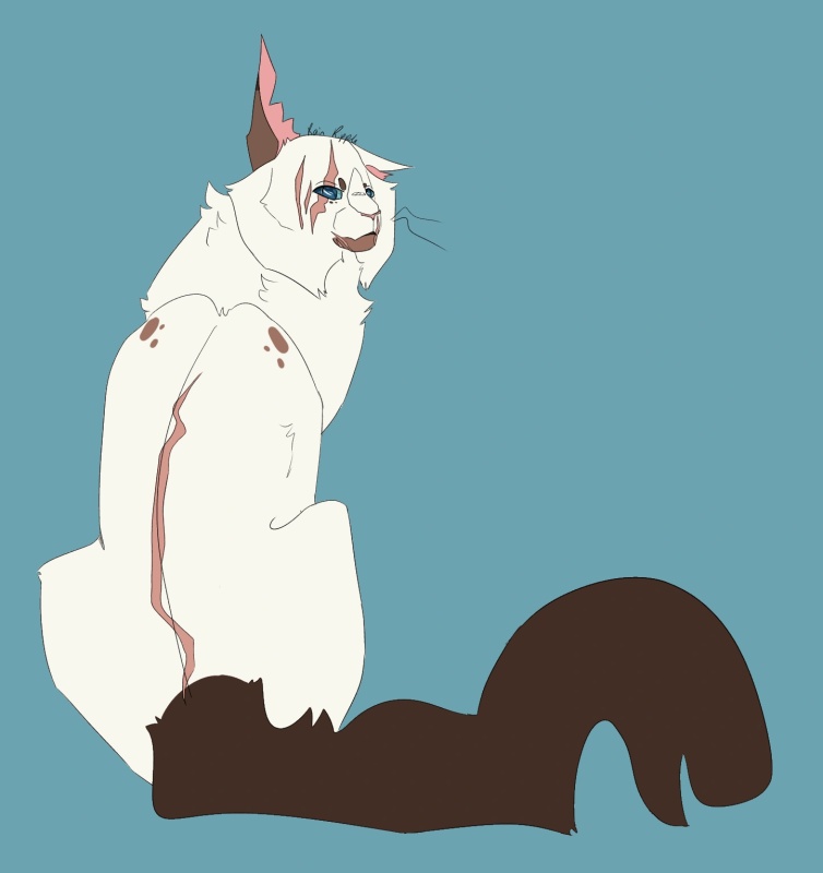 Albatrossgloom - AI Character on RolePlai