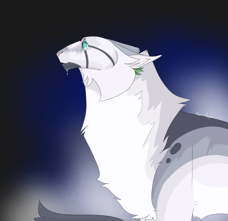 Hailshiver - AI Character on RolePlai