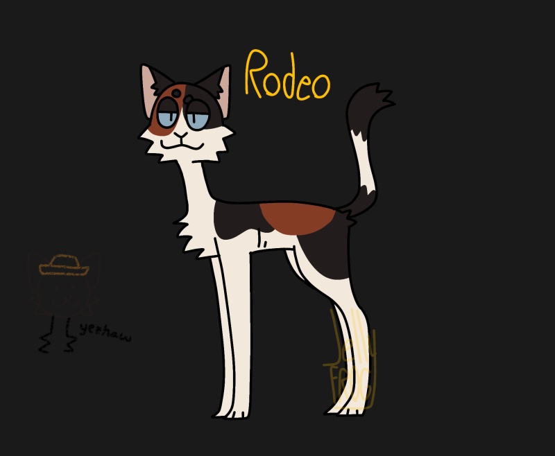 Rodeo - AI Character on RolePlai