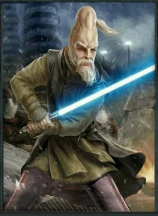 Ki-Adi-Mundi - AI Character on RolePlai