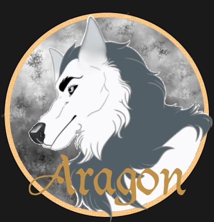 Aragon - AI Character on RolePlai