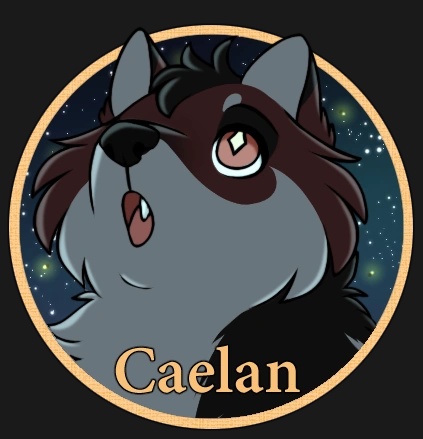 Caelan - AI Character on RolePlai