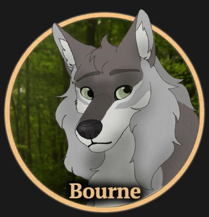 Bourne - AI Character on RolePlai