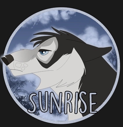 Sunrise - AI Character on RolePlai