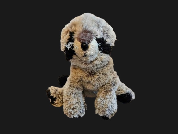 Little R.J. - AI Character on RolePlai