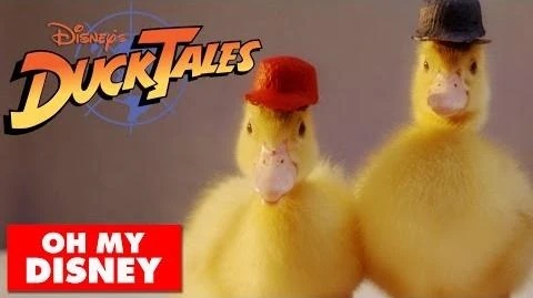 DuckTales Theme Song With Real Ducks - AI Character on RolePlai