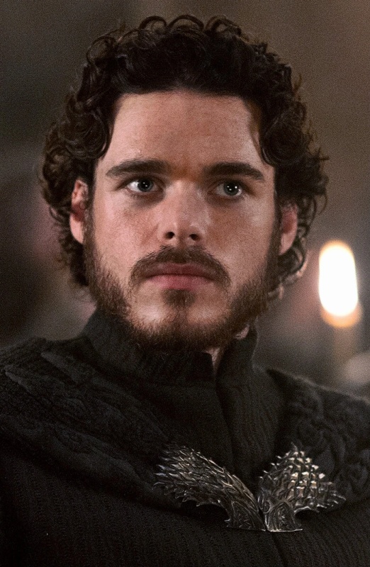 Robb Stark - AI Character on RolePlai