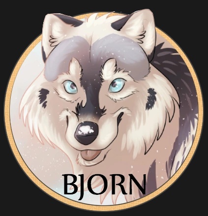 Bjorn - AI Character on RolePlai