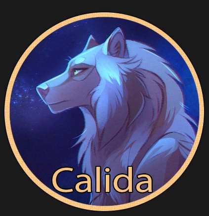 Calida - AI Character on RolePlai