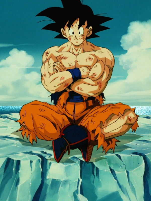 Sangoku - AI Character on RolePlai