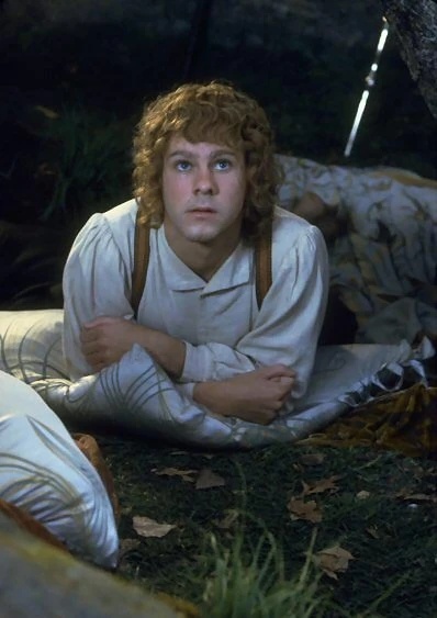 Merry Brandybuck - AI Character on RolePlai
