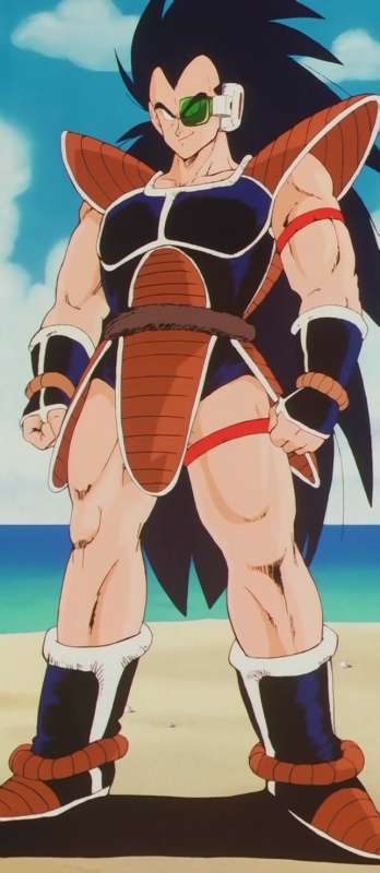 Raditz - AI Character on RolePlai