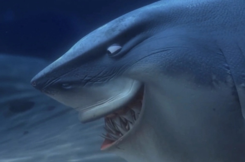 Bruce The Shark - AI Character on RolePlai