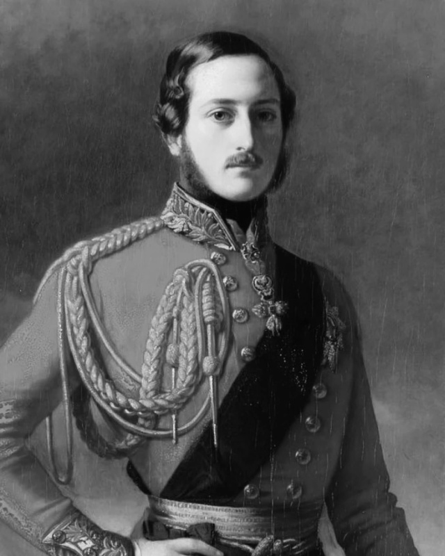 Prince Albert - AI Character on RolePlai