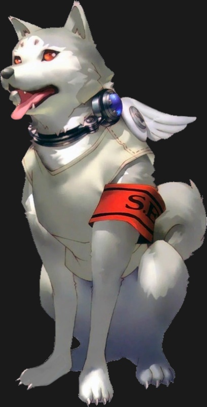 Koromaru - AI Character on RolePlai