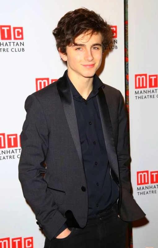 Timothée Chalamet - AI Character on RolePlai