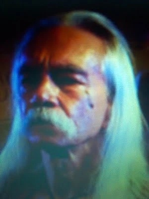 Berruguete Leonardo Montgomery - AI Character on RolePlai