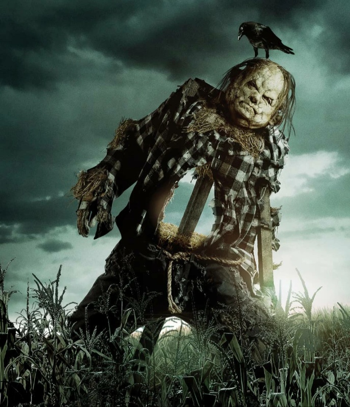 Harold the Scarecrow - AI Character on RolePlai