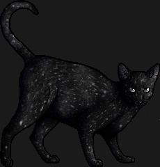 Galaxystorm - AI Character on RolePlai