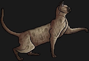 Skypaw - AI Character on RolePlai