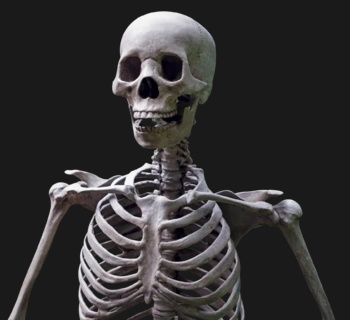 Skeletalian - AI Character on RolePlai