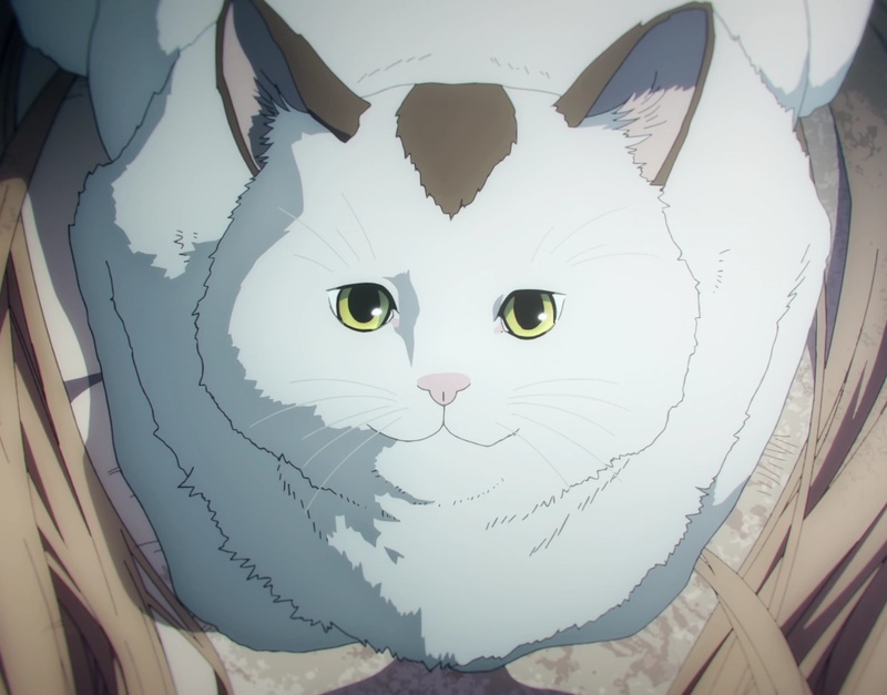 Meowy - AI Character on RolePlai