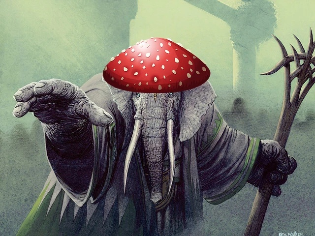 Jumbo Toad - AI Character on RolePlai