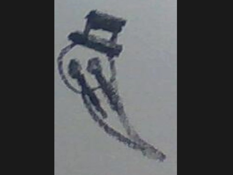 Hybrid Soul - AI Character on RolePlai