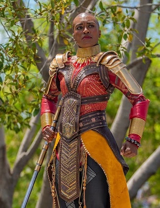 Okoye - AI Character on RolePlai