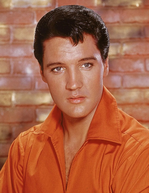 Elvis Presley - AI Character on RolePlai