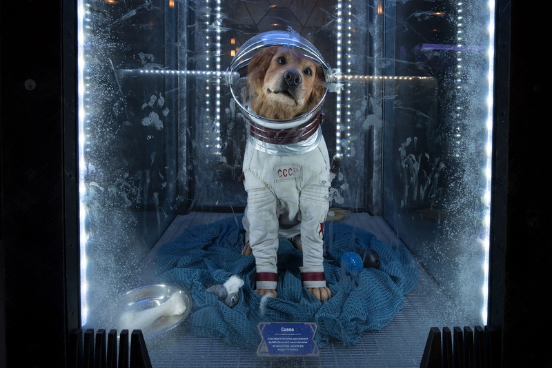 Cosmo the Spacedog - AI Character on RolePlai