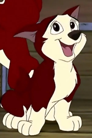 Dingo - AI Character on RolePlai