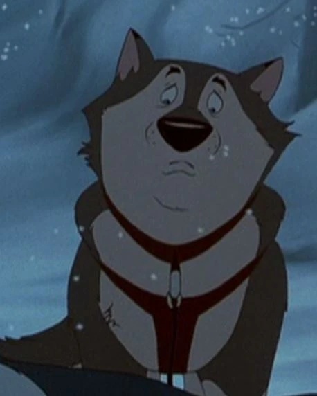 Gray Malamute - AI Character on RolePlai